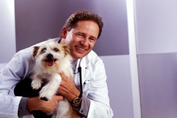 all creatures veterinary care vets in la quinta california