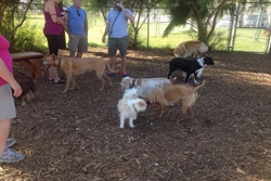 dog parks in indian wells