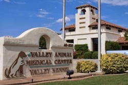 valley animal medical center pet friendly vets in indio california
